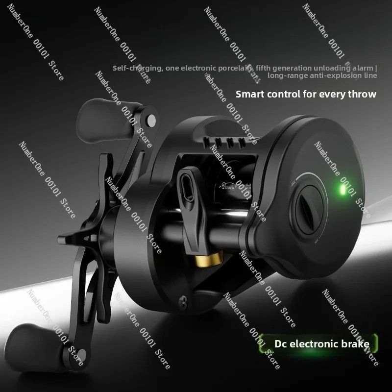 Electronic Magnetic Brake Fish - Baitcasting Reel recensie en prijs